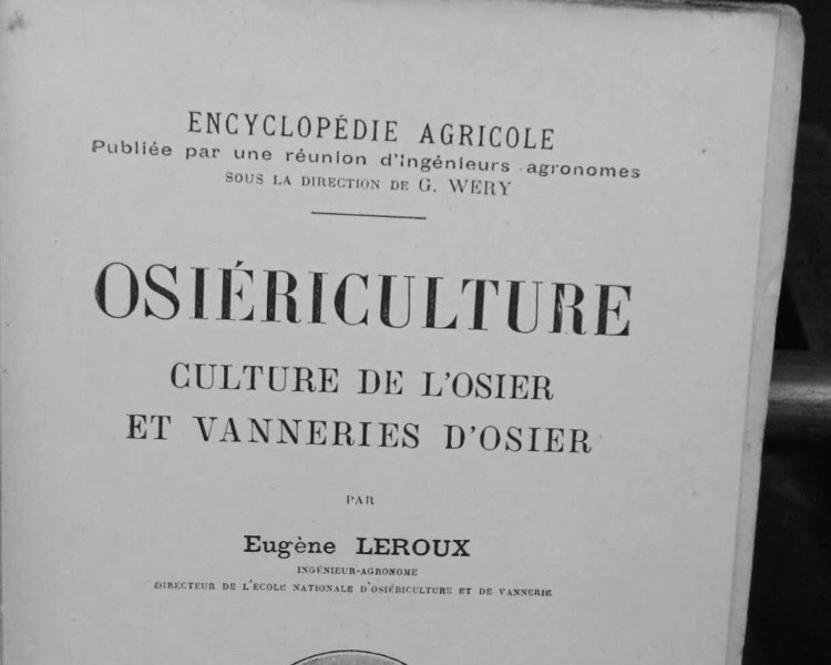Oseraie, osiériculture… Savez-vous ce que c’est ?