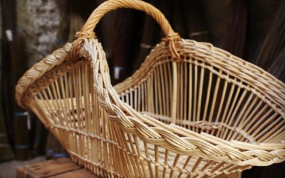 Apprendre, c’est aussi échouer.