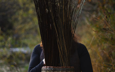 Elle ne tombe pas du ciel