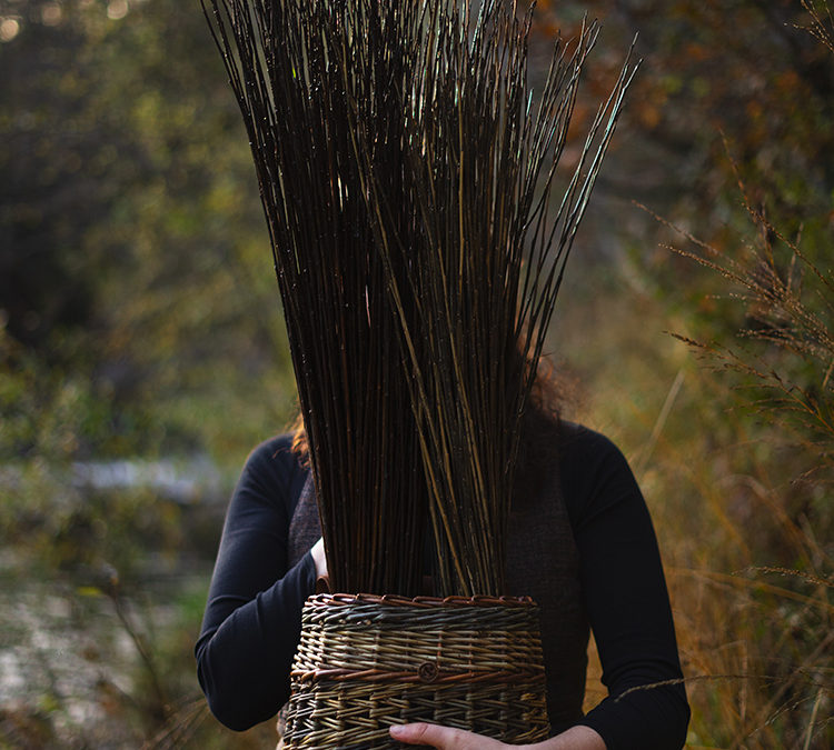 Elle ne tombe pas du ciel